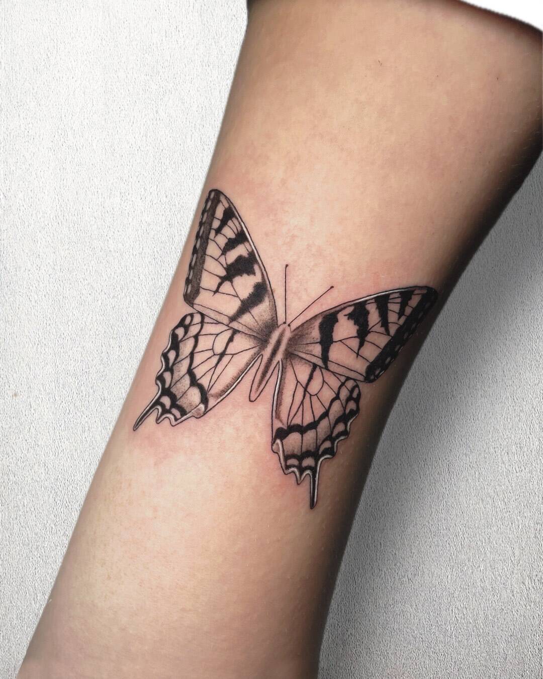 Jordi | Steel n ink, image size:1080x1350